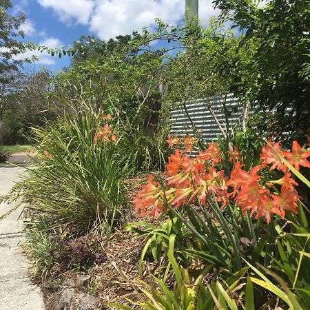 Eumundi Guesthouse And B&B Exterior foto