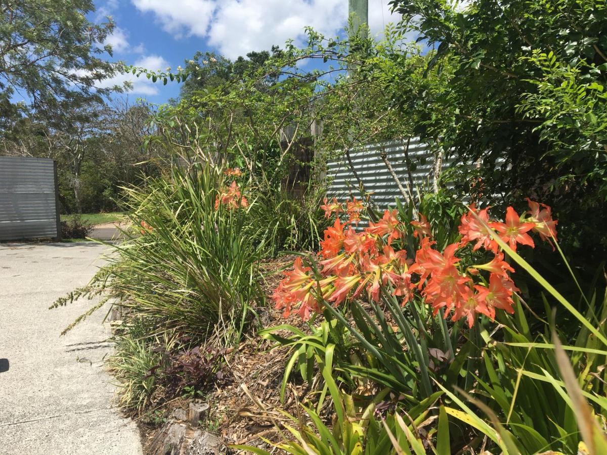 Eumundi Guesthouse And B&B Exterior foto