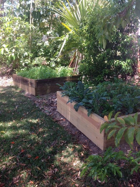 Eumundi Guesthouse And B&B Exterior foto
